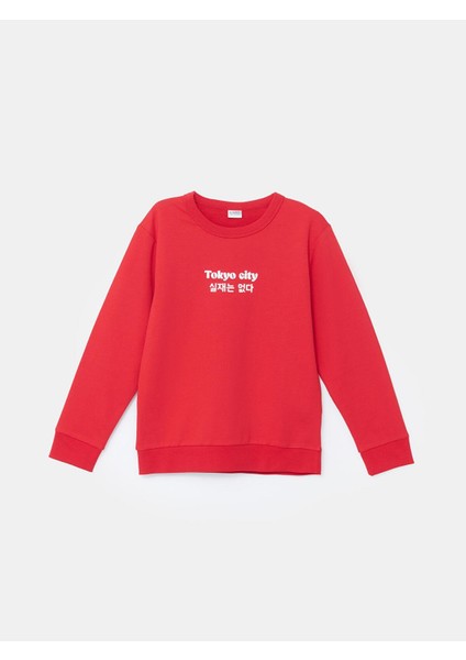 Lcw Kids Bisiklet Yaka Erkek Çocuk Sweatshirt 2'li modelleri