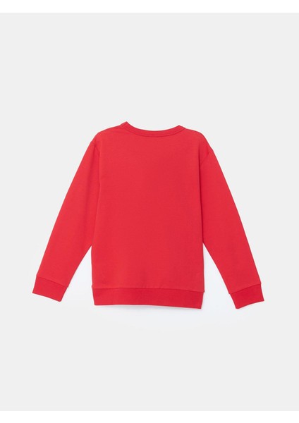 Lcw Kids Bisiklet Yaka Erkek Çocuk Sweatshirt 2'li fırsatları