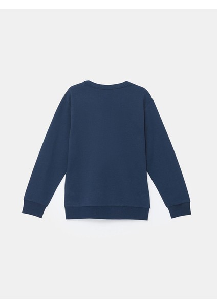 Lcw Kids Bisiklet Yaka Erkek Çocuk Sweatshirt 2'li indirimleri
