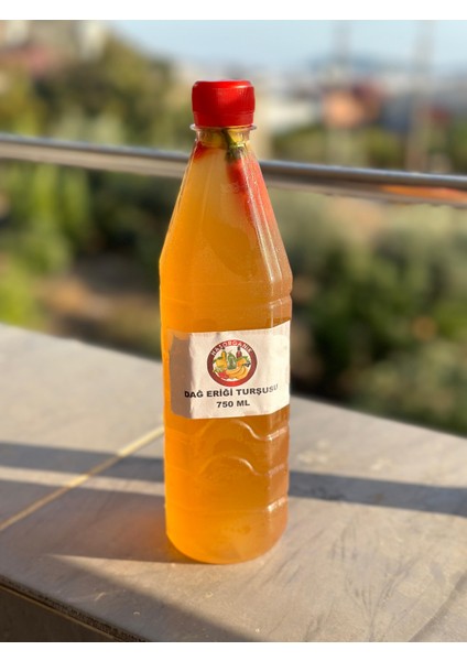 Organik Dağ Eriği Turşusu 750 ml (Acılı)
