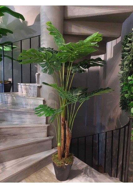 Yapay Ağaç Monstera 11 Yapraklı, 3 Gövdeli, 160 cm, Yeşil, Çiçek Türü: Ağaç fiyatları