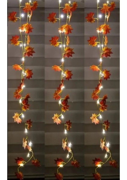 Tekno Trust 3 Adet 2.30 Metre Sonbahar Konsepti Yapay Sarmaşık +3 Adet 3 Metre Peri Led