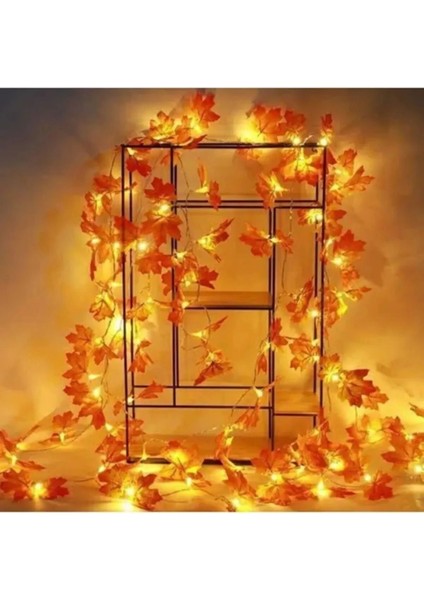 Tekno Trust 3 Adet 2.30 Metre Sonbahar Konsepti Yapay Sarmaşık +3 Adet 3 Metre Peri Led