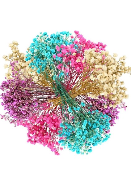 10'lu Renkli Doğal Çiçek Seti, Şık ve Bozulmaz Dekoratif Demetler