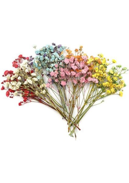 10'lu Renkli Doğal Çiçek Seti, Şık ve Bozulmaz Dekoratif Demetler modelleri