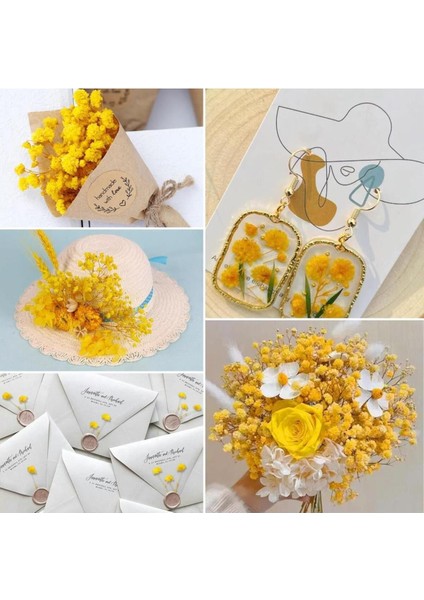 10'lu Renkli Doğal Çiçek Seti, Şık ve Bozulmaz Dekoratif Demetler fırsatları