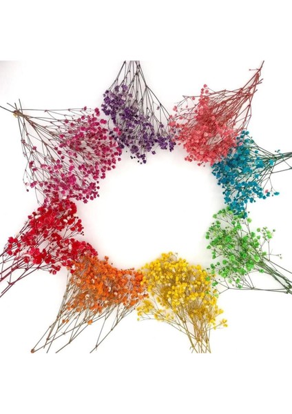 10'lu Renkli Doğal Çiçek Seti, Şık ve Bozulmaz Dekoratif Demetler indirimleri