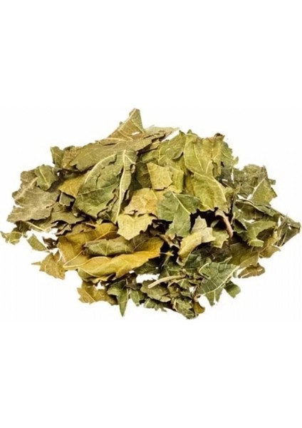 Dut Yaprağı (Beyaz Dut) Morus Alba1 kg