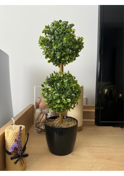 Tekno Trust Yapay Ağaç Şimşir Top 2 Toplu 12x40cm Siyah Saksıda