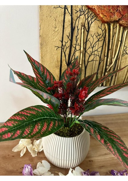 Kırmızı Saksılı Yapay Çiçek, Masa Dekoru, Doğal Taş ve Yosun Detaylı, 11-30 cm fiyatları