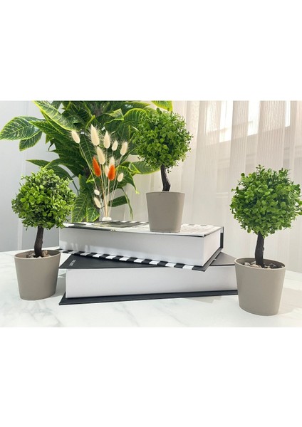 Canlı Görünümlü Mini Yapay Ağaç, Ev ve Ofis Dekoru, Yeşil, 11-30 cm
