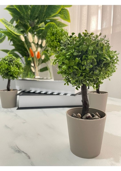 Canlı Görünümlü Mini Yapay Ağaç, Ev ve Ofis Dekoru, Yeşil, 11-30 cm fiyatları