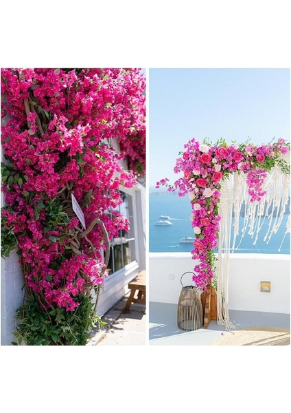 Tekno Trust Yapay Çiçek 3dal Begonvil Çiçeği Fuşya 80cm Tek Dal Bodrum Çiçeği Sarkan Çiçek