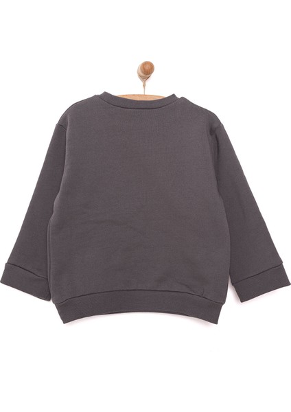 HelloBaby Snow Party Erkek Sweatshirt Erkek Bebek fiyatları