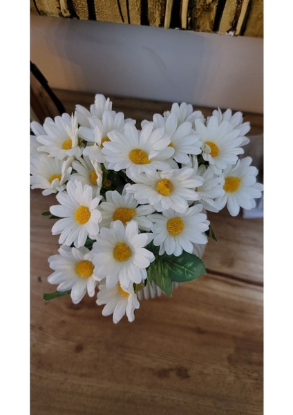 Orta Boy Yapay Papatya Saksıda, 20cm, Bej, Dekoratif Çiçek, Banyo ve Balkon Şıklığı fiyatları