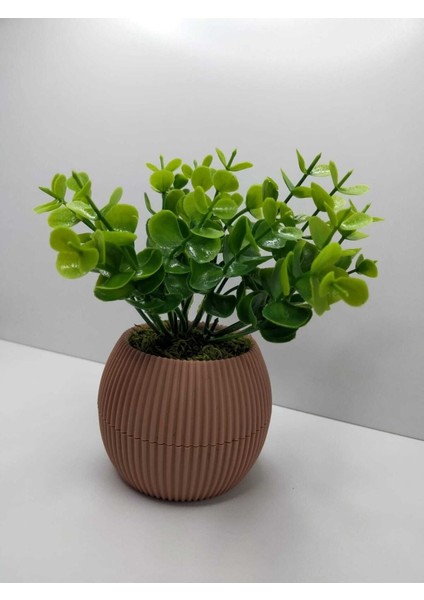 Tekno Trust Mini Saksıda Yapay Çiçek Bitki Şimşir Gerçek Taş Yosunlu Toplam 18 Cm Dekoratif Masa Raf Çiçeği 01
