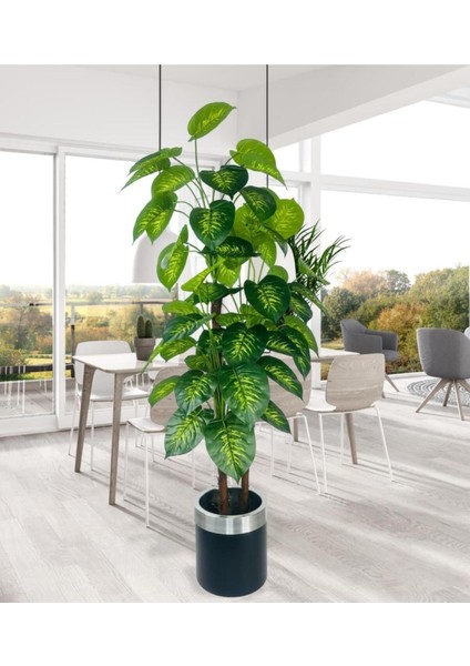 Tekno Trust Yapay Çiçek Difenbahya Sarı Yeşil 3katlı 160cm 54yaprak Gümüş Kemerli Siyah Saksıda Yapay Bitki