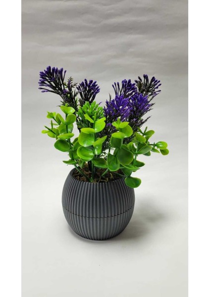 Mini Saksıda Canlı Çim Yeşili Bitki, Dekoratif ve Renkli 17 cm fiyatları