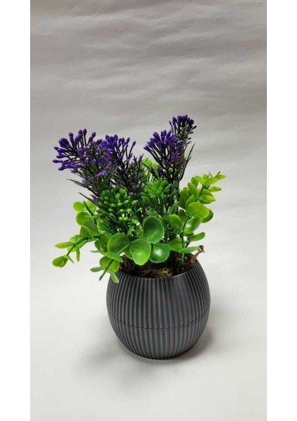 Mini Saksıda Canlı Çim Yeşili Bitki, Dekoratif ve Renkli 17 cm fırsatları