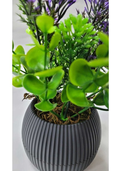 Mini Saksıda Canlı Çim Yeşili Bitki, Dekoratif ve Renkli 17 cm indirimleri