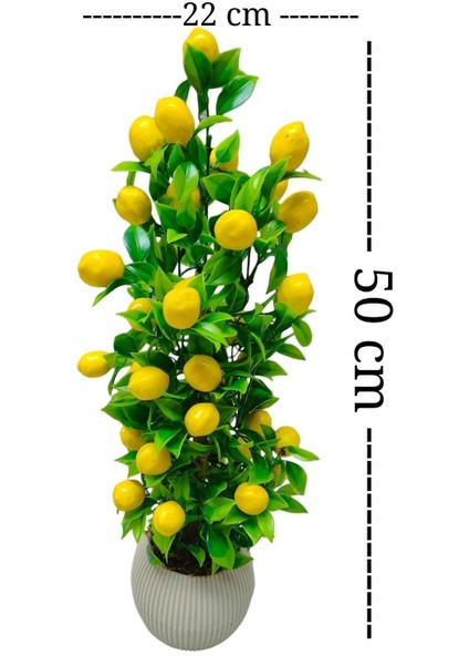 Beyaz yapay limon ağacı, şık ve doğal görünümlü mutfak süsü, 51-80 cm