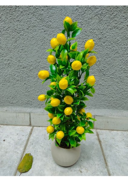 Beyaz yapay limon ağacı, şık ve doğal görünümlü mutfak süsü, 51-80 cm