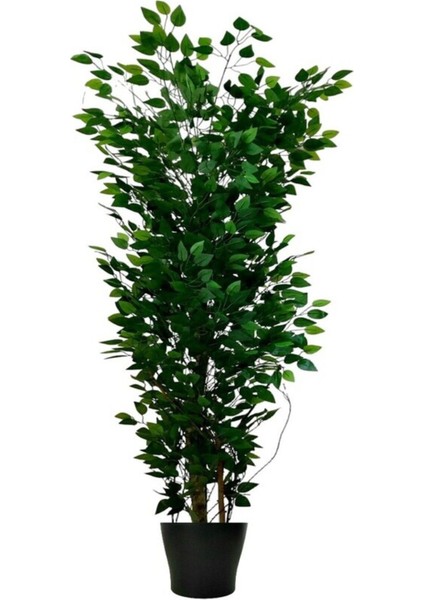 Yeşil 160 cm plastik saksı, ağaç çiçeği ile şık ve dayanıklı bahçe dekoru