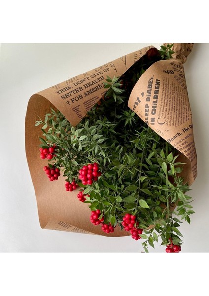 Tekno Trust Lım Kokina Buketi (12'Li Demet) fiyatları