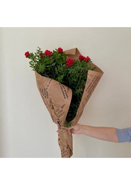 Tekno Trust Lım Kokina Buketi (12'Li Demet) modelleri