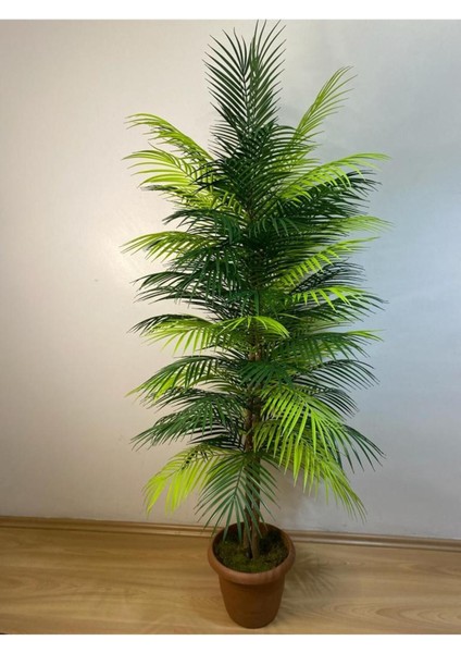 Yapay Areka Palmiye Ağacı, 151-200 cm, yeşil renkli dekoratif bitki