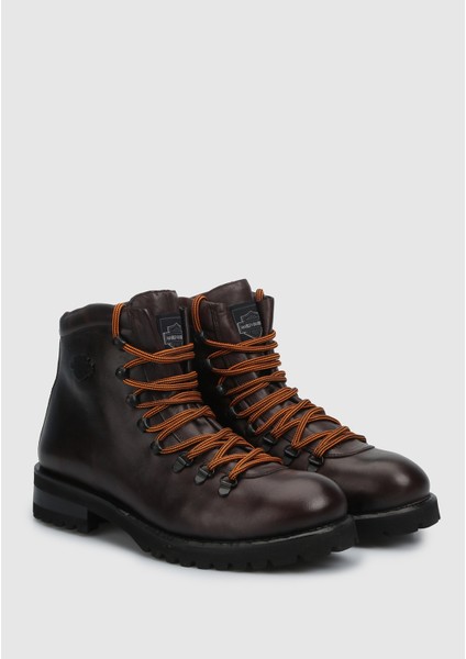Notley Dark Brown // Deri fiyatları