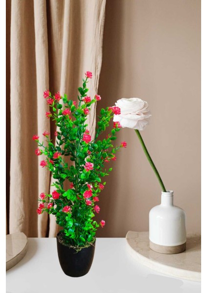 Mineli şimşir Ağacı, 50 cm, canlı renkli yapay çiçek, siyah saksı, yüksekliği 51-80 cm fiyatları