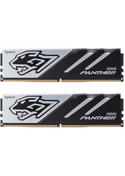 32GB (2x 16GB) Ddr5 CL38 Dual Kıt Pc Ram Panther AH5U32G52C5227BAA-2