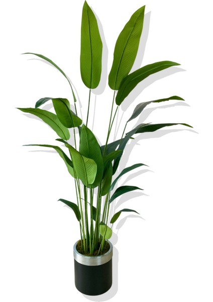 Tekno Trust Starliçe 24 Yaprak 190 Cm Yapay Ağaç 30x30 Gümüş Kemerli Saksı