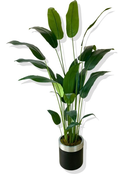 Tekno Trust Starliçe 24 Yaprak 190 Cm Yapay Ağaç 30x30 Gümüş Kemerli Saksı