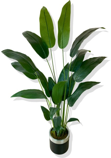 Tekno Trust Starliçe 24 Yaprak 190 Cm Yapay Ağaç 30x30 Gümüş Kemerli Saksı