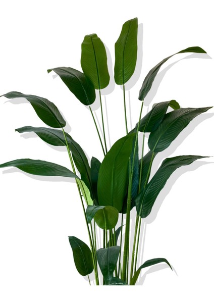Tekno Trust Starliçe 24 Yaprak 190 Cm Yapay Ağaç 30x30 Gümüş Kemerli Saksı