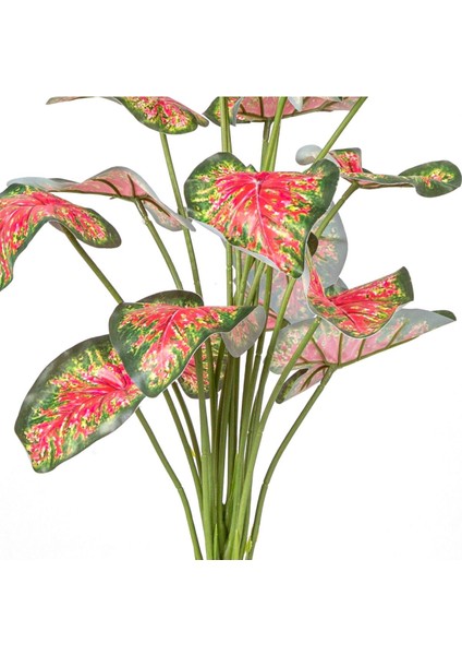 Tekno Trust Yapay Bitki Caladium-Kaladyum Demet Gerçek Dokulu 18 Yaprak 46 Cm.
