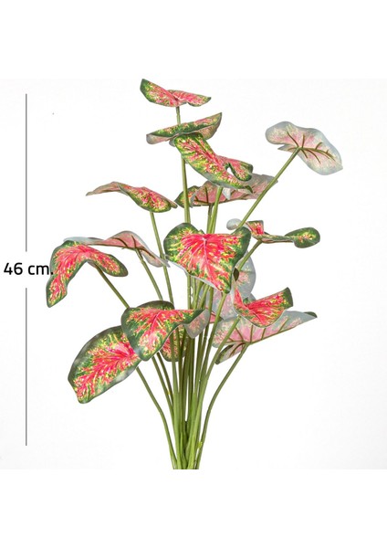 Tekno Trust Yapay Bitki Caladium-Kaladyum Demet Gerçek Dokulu 18 Yaprak 46 Cm.