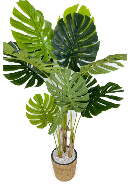Tekno Trust Monstera Ağacı 150cm Fejka Hasır Saksıda