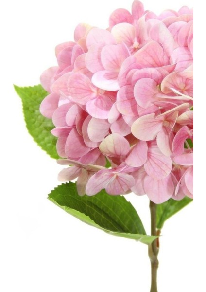 Pembe Yapay Ortanca Dalı, 60 cm, Çok Renkli, 51-80 cm Yükseklik, Tek Dal Çiçek indirimleri