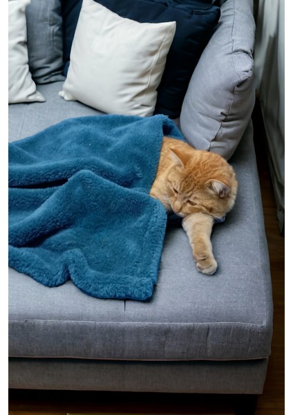 Paw Wellsoft Kedi Köpek Battaniyesi 100X100 cm Petrol Mavisi