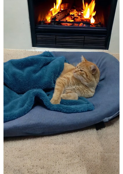 Paw Wellsoft Kedi Köpek Battaniyesi 100X100 cm Petrol Mavisi modelleri