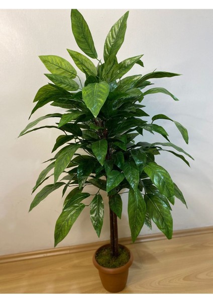 Yapay Ceviz Ağacı, 80 cm, Yeşil, 126-150 cm, Ağaç Çiçeği Dekoru
