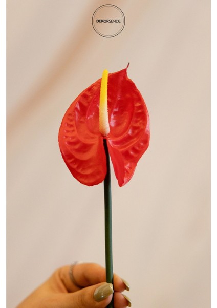 Canlı Kırmızı Antoryum Çiçeği, Renkli, 40 cm, Tek Dal, Huzurlu Dekorasyon