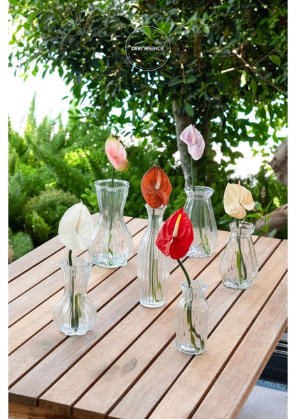 Canlı Kırmızı Antoryum Çiçeği, Renkli, 40 cm, Tek Dal, Huzurlu Dekorasyon fiyatları