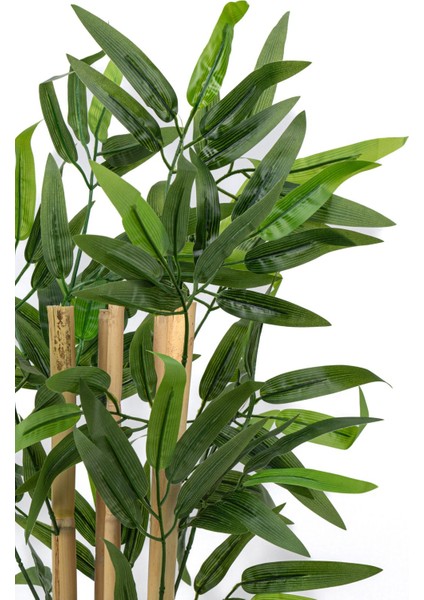 Taş Detaylı Saksıda Yapay Bambu Ağacı, Siyah Saksı, 51-80 cm, Çiçekli Ağaç Tarzı modelleri