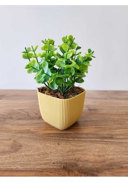 Mini Yapay Saksı Bitki, Şimşir, Taş Yosun, 16 cm, Sarı, 11-30 cm, Dekor, Banyo, Mutfak fiyatları