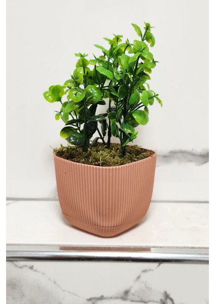 Mini yapay şimşir bitki, taşlı yosun dekor, 16 cm, pembe, masa ve banyo dekoru