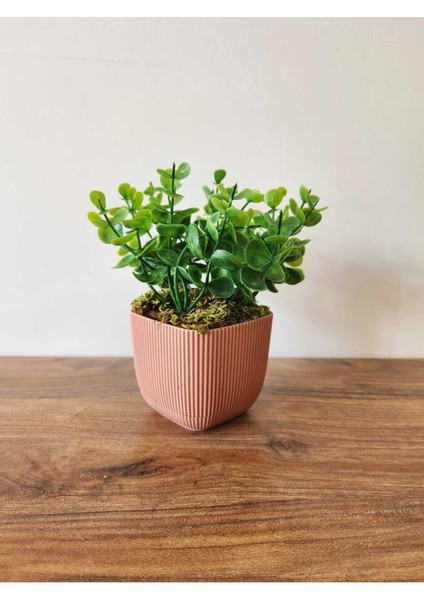 Mini yapay şimşir bitki, taşlı yosun dekor, 16 cm, pembe, masa ve banyo dekoru